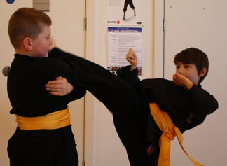 Kids Kung Fu with Chris Davies, 6 Degree, Midlothian, Scotland