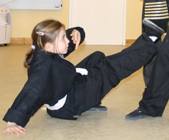 Childrens Kung Fu Class with Chris Davies, 6 Degree, Midlothian, Scotland
